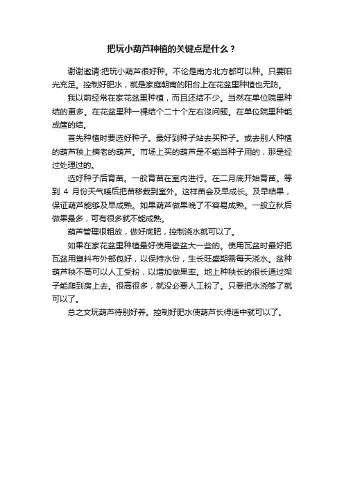 把玩小葫芦种植的关键点是什么？