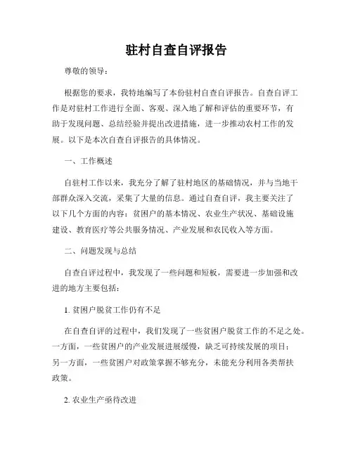 驻村自查自评报告