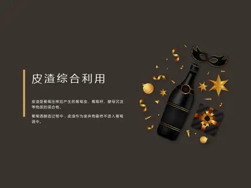 酿酒技术：皮渣综合利用