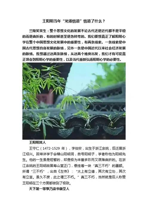 王阳明当年“龙场悟道”悟道了什么？