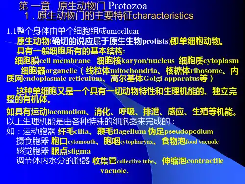 动物学课件：原生动物门