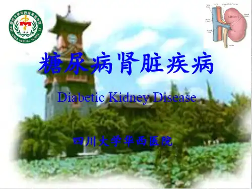 糖尿病肾病精华ppt课件