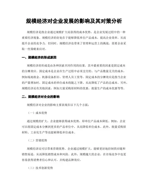 规模经济对企业发展的影响及其对策分析