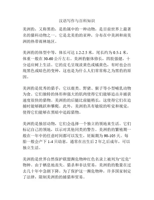 汉语写作与百科知识