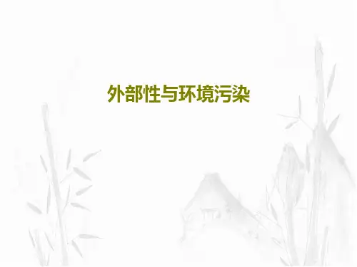 外部性与环境污染PPT文档21页