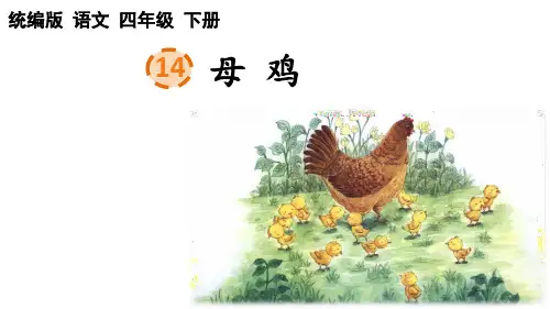 统编版语文四年级下册第14课《母鸡》课件
