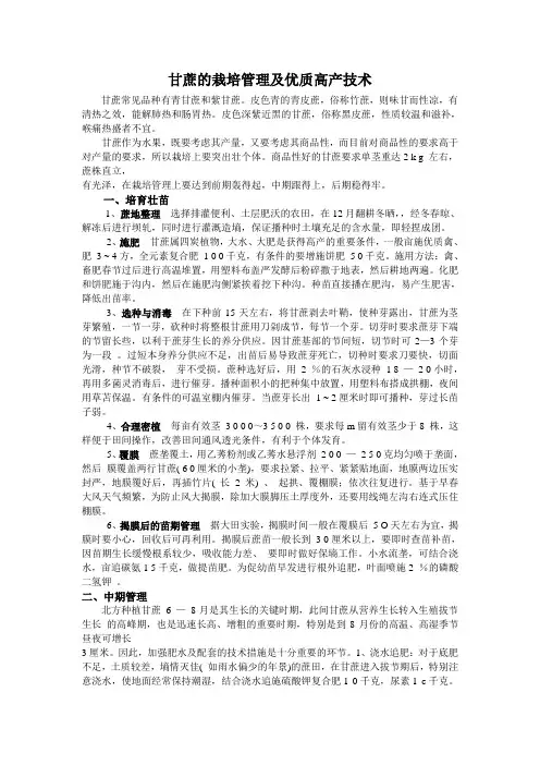 甘蔗的栽培管理及优质高产技术