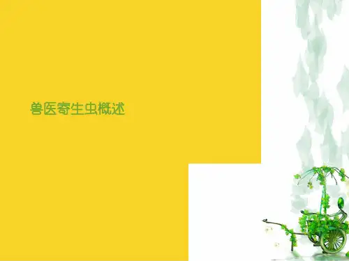 兽医寄生虫概述标准文档ppt