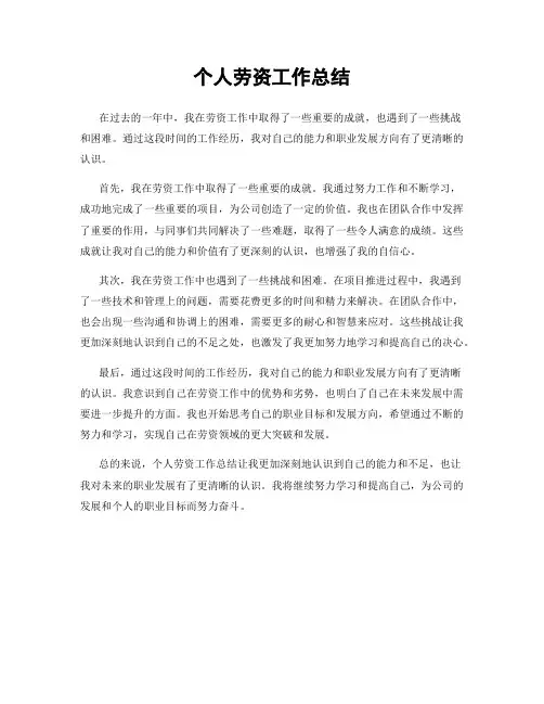 个人劳资工作总结