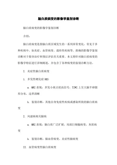 脑白质病变的影像学鉴别诊断