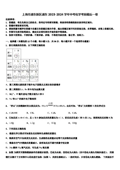 上海市浦东新区浦东2023-2024学年中考化学考前最后一卷含解析