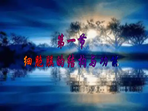 细胞膜的结构和功能