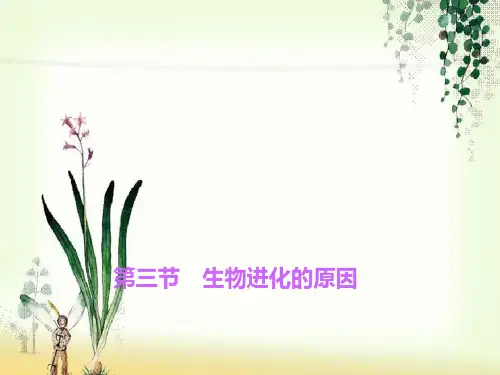 【一线精品】 生命起源和生物进化2 2 最新优秀公开PPT课件