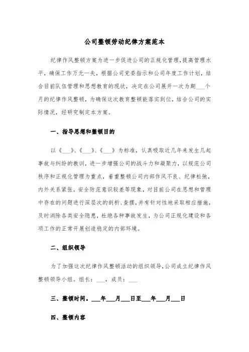 公司整顿劳动纪律方案范本(二篇)