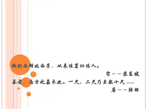 茶叶专业知识7.4
