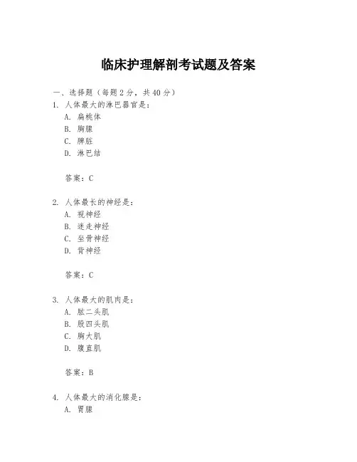临床护理解剖考试题及答案