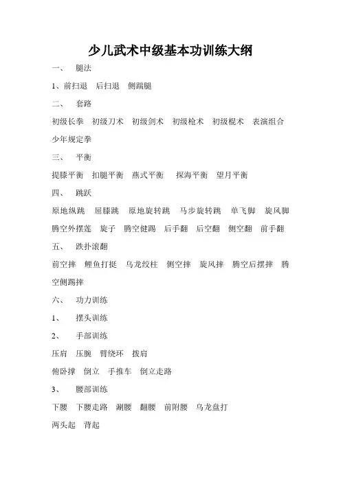 少儿武术中级基本功