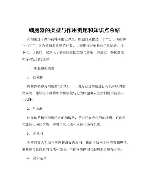 细胞器的类型与作用例题和知识点总结