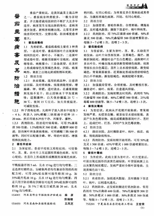 番茄主要病害及其防治措施