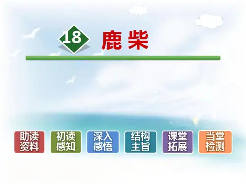 《鹿柴》 ppt优秀课件