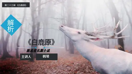 白鹿原分析
