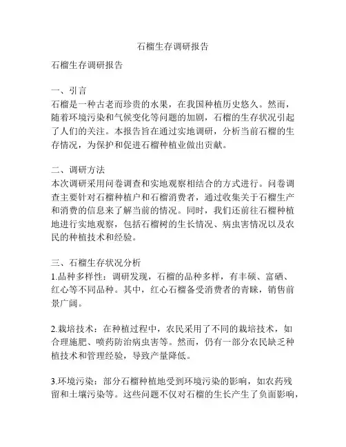 石榴生存调研报告