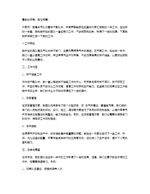 采气队分管技术副队长年终述职报告掘进队副队长述职报告
