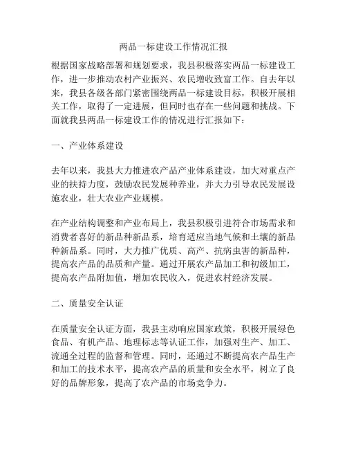 两品一标建设工作情况汇报