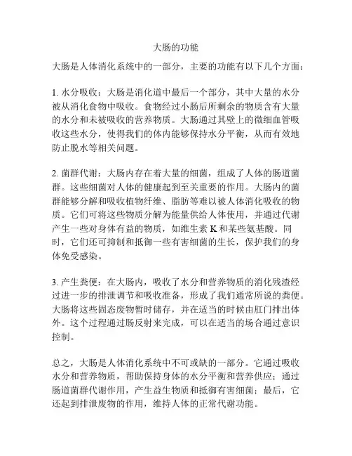 大肠的功能