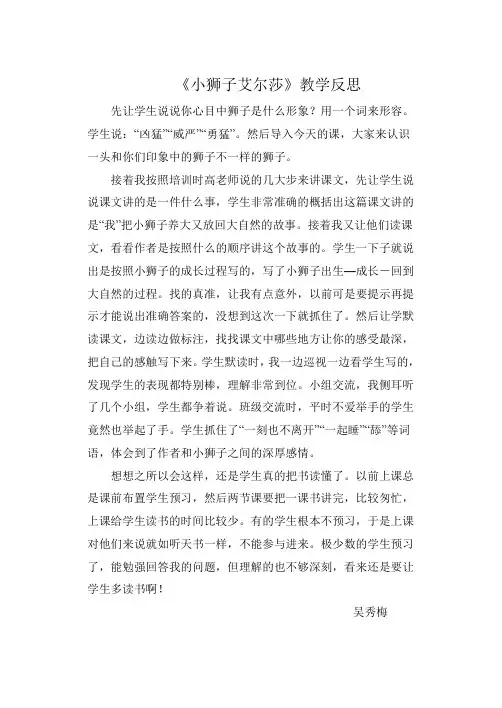 小狮子艾尔莎