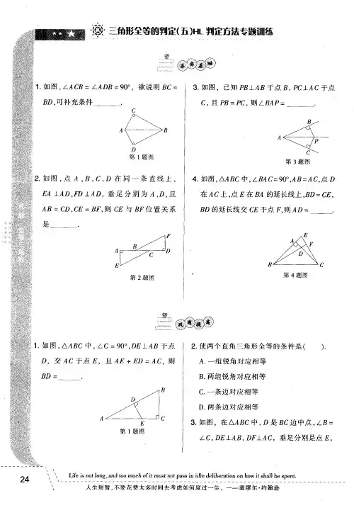 三角形全等的判定(五)HL判定方法专题训练