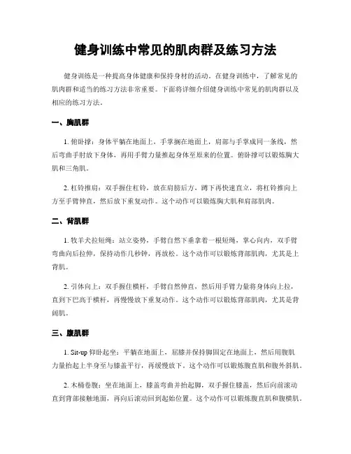 健身训练中常见的肌肉群及练习方法