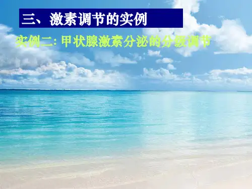 高中生物(人教版)课件：必修3第二章第二节《通过激素的调节二》