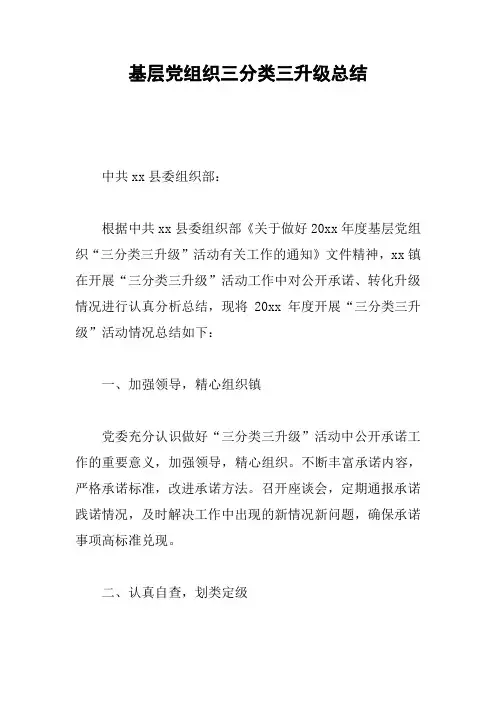 基层党组织三分类三升级总结