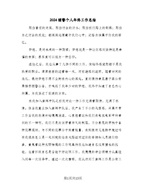 2024辅警个人年终工作总结(五篇)