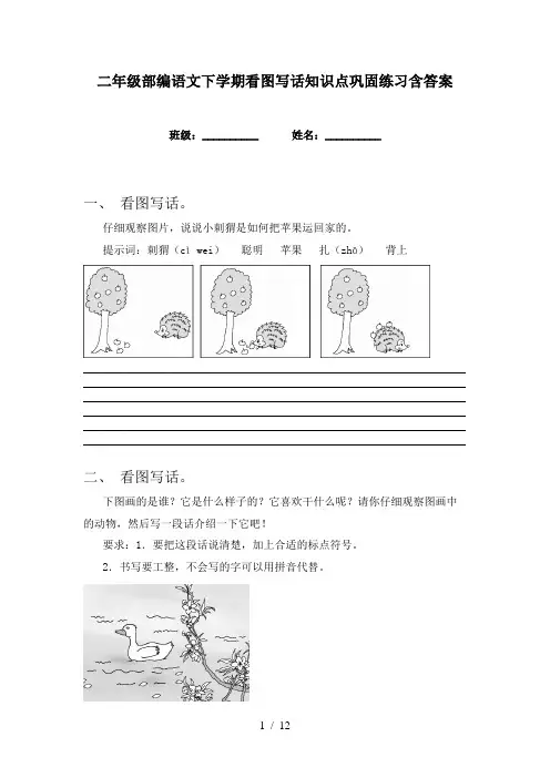 二年级部编语文下学期看图写话知识点巩固练习含答案