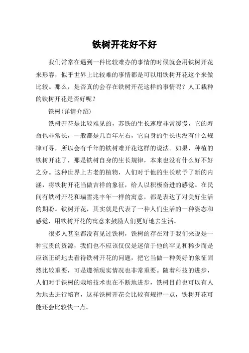 铁树开花好不好