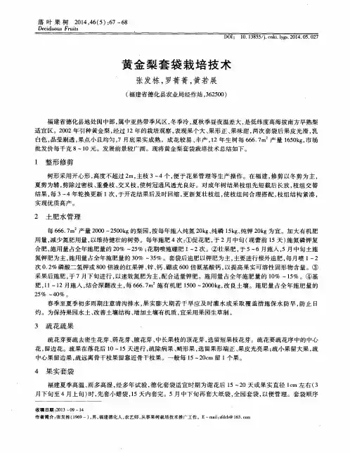 黄金梨套袋栽培技术