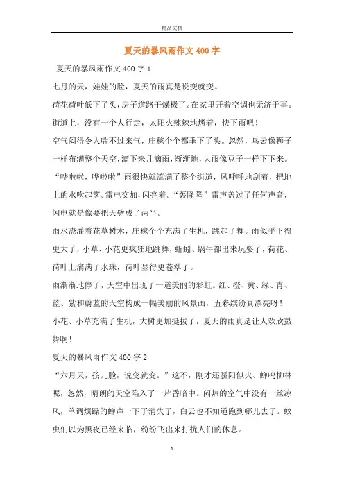 夏天的暴风雨作文400字