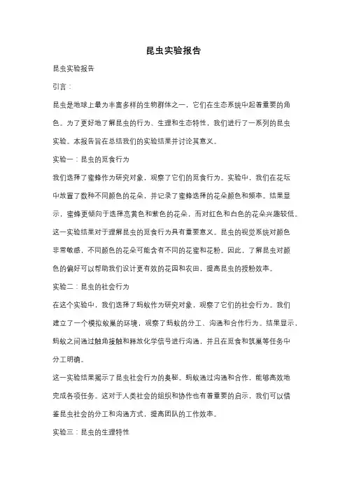 昆虫实验报告