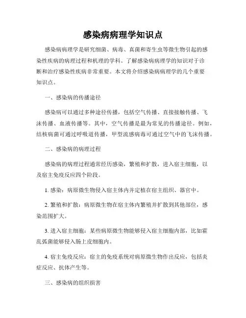 感染病病理学知识点