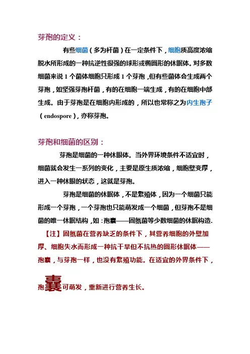 芽孢的定义