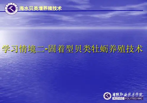 第1节 牡蛎的生物学.