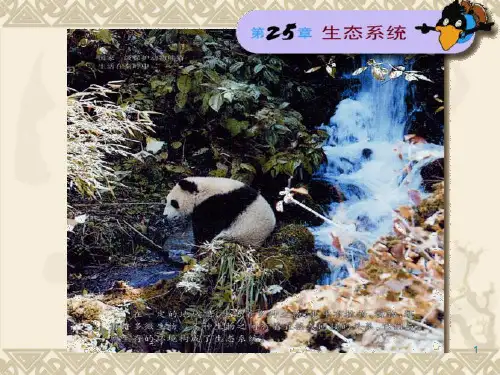 苏教版生物生态系统组成课件