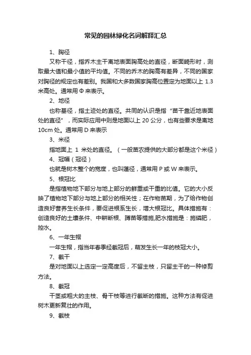 常见的园林绿化名词解释汇总