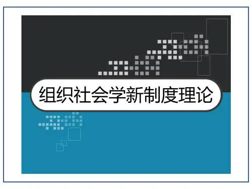 组织社会学新制度理论 PPT