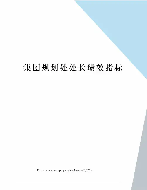 集团规划处处长绩效指标