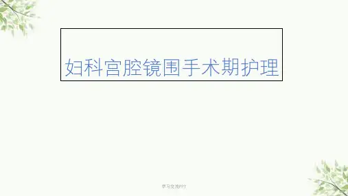 宫腔镜围手术期护理课件