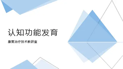 认知功能发育