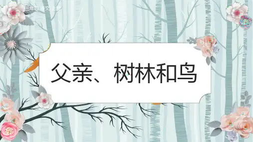 《父亲、树林和鸟》ppt课件